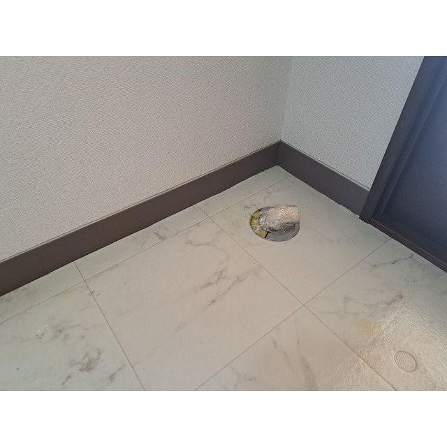 リトルバードのその他