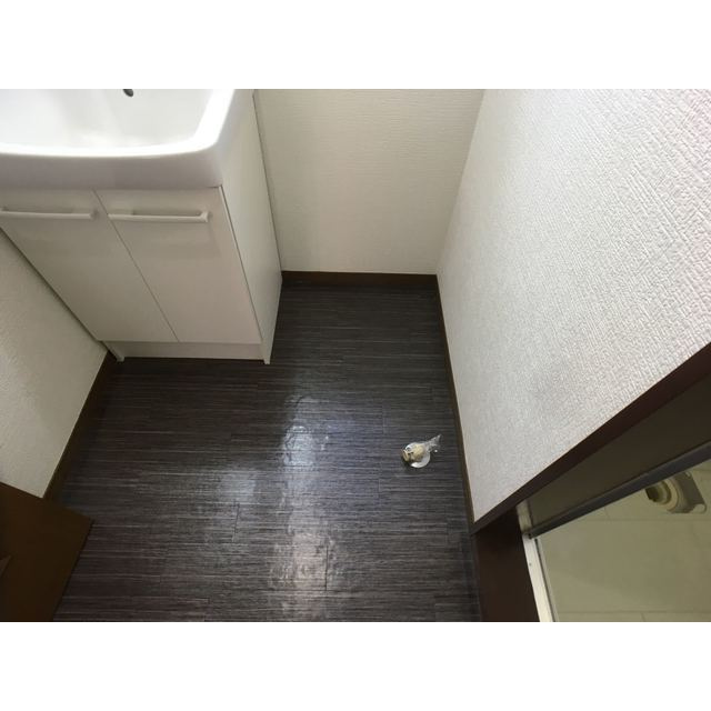 キャッスルCのその他