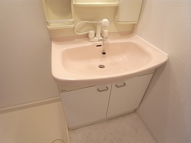 アグアの洗面所