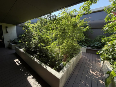 【中庭】 | グランドメゾン福岡The Central Luxe | 
手入れの行き届いた、美しい植栽です☆