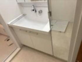 ワコーレ三軒茶屋の洗面所