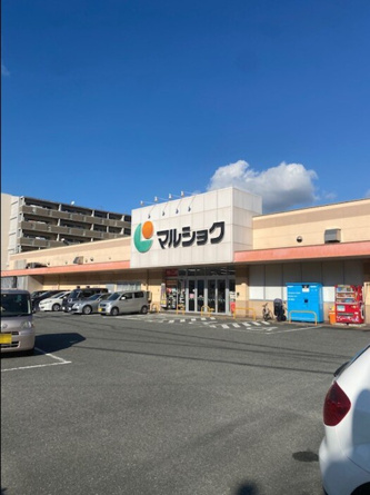  | マルショク吉塚駅東店 265ｍ