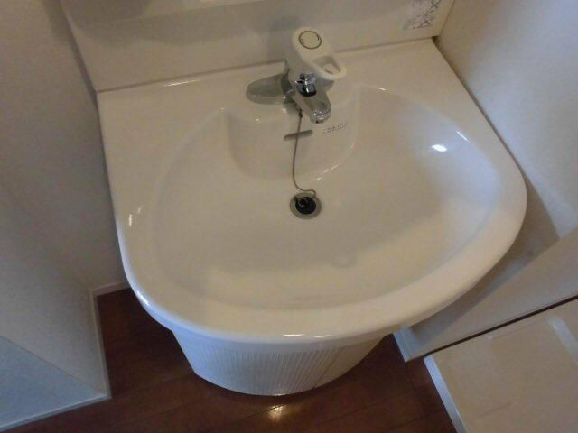 リシェス橋本の洗面所