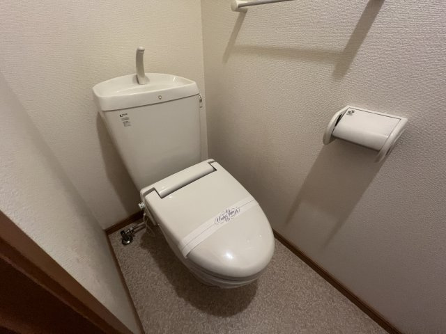 ルナ　パレス　Ａのトイレ