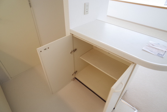 RICイーストコート２番街の収納