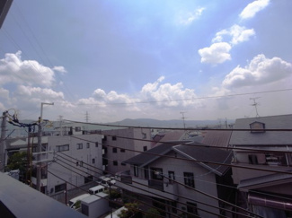 【展望】 | グレイシーKY