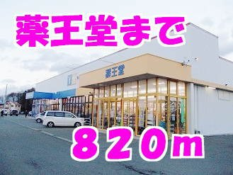 セレーノＤの周辺|薬王堂まで820m