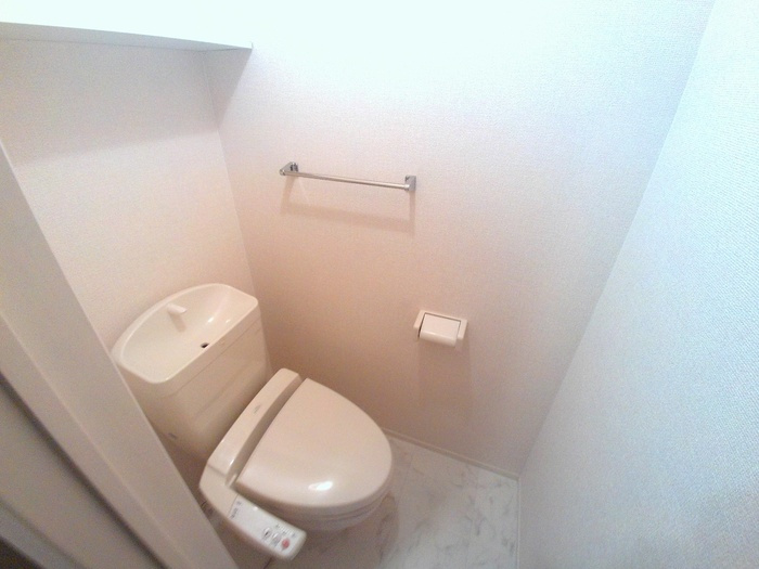 エヴリシングのトイレ|落ち着いた色調のトイレです