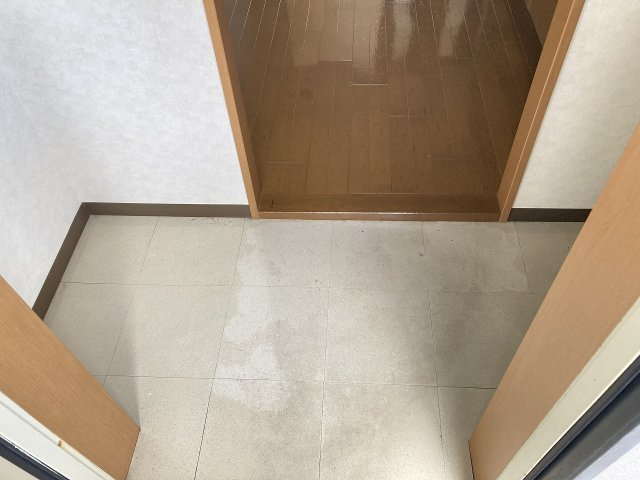 ハイデンスニーズの玄関|別室写真