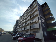 ＴＥＮＯＨＡ　ＴＯＹＯＨＡＳＨＩの画像