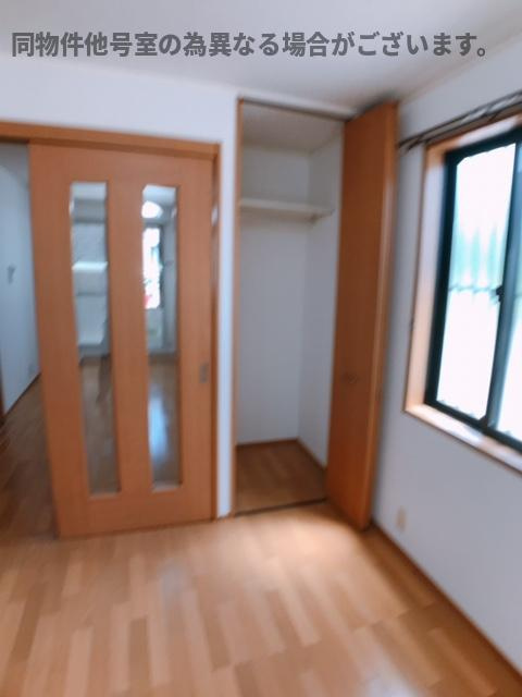 ドルフの内装