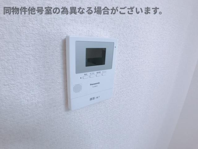 ドルフのセキュリティ
