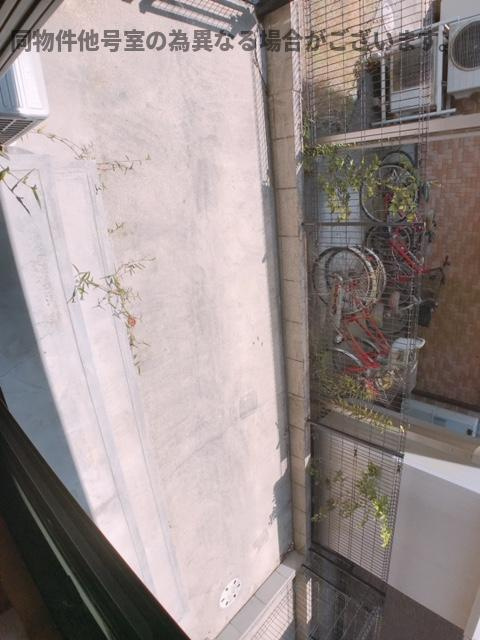 ドルフのその他