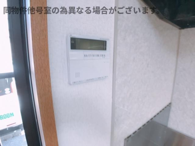 ドルフのその他
