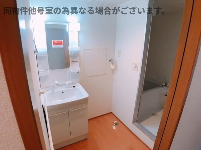 ドルフの洗面所