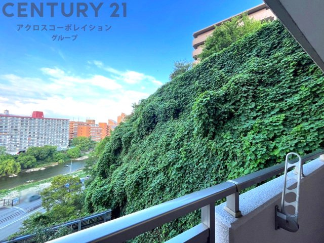 物件からの展望
