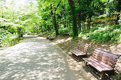 【周辺】 | 練馬区高松６丁目　新築戸建　2号棟 6880万円 | 春の風公園
