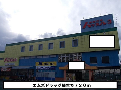【周辺】 | パルティーレ | エムズドラッグまで720m