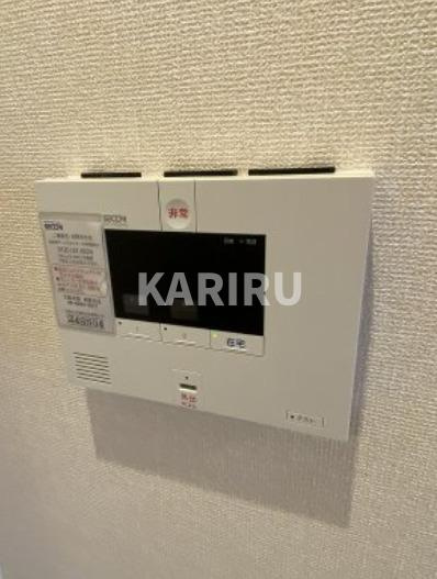 リアン・セジュールのセキュリティ