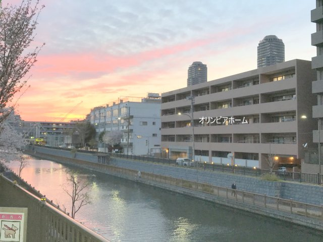 コスモ西大島ロイヤルフォルム　80.24㎡　リ　ノベーション済の外観