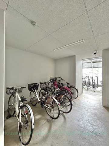 スカイホース