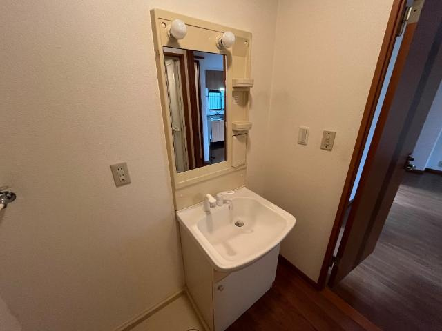 菊池郡菊陽町大字津久礼のアパートの洗面所|シャンプードレッサー