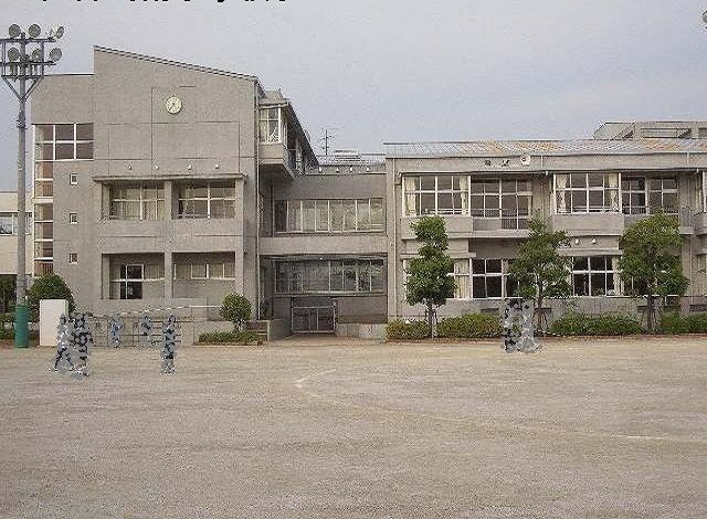 かいがんのその他