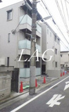 マルベリーの画像