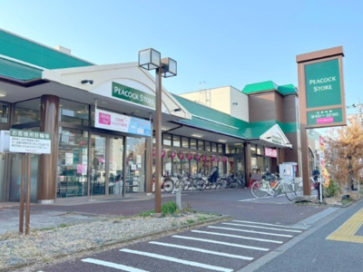 【周辺】 | 立川市幸町6丁目　中古戸建　【全1棟】 | ピーコックストア