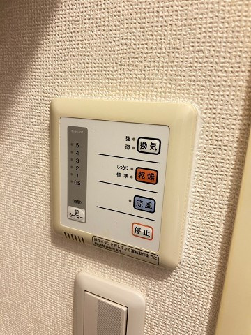 レオパレスルフランのその他