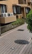 ライオンズマンション津田沼第６のロビー