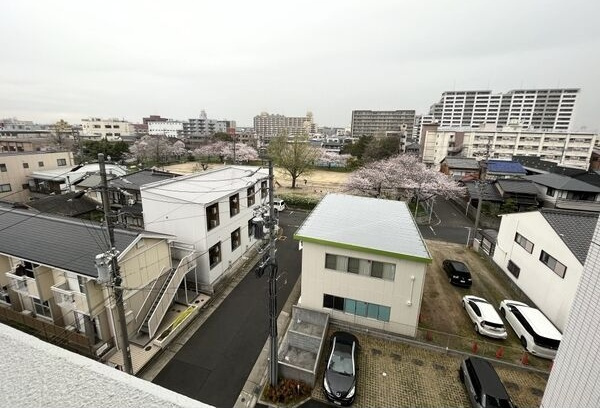ルディアマンの展望