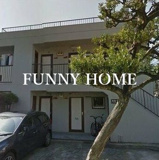 ネストミタの画像