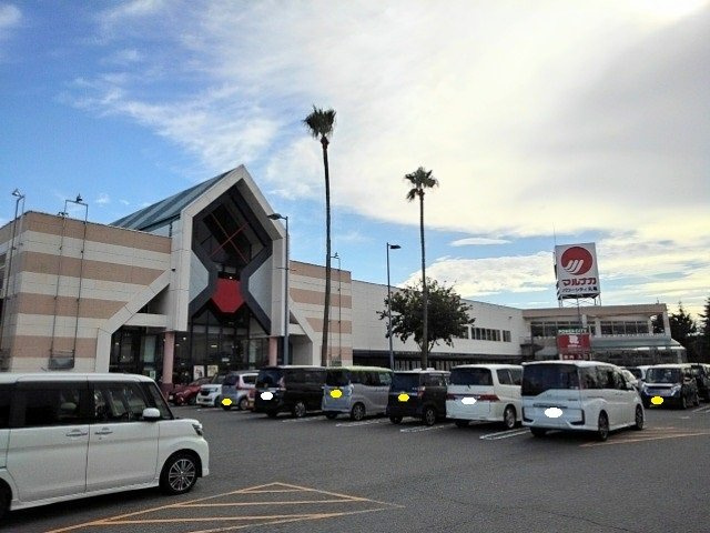フィオーレ　リン　Ａの周辺|マルナカパワーシティ丸亀店まで700m