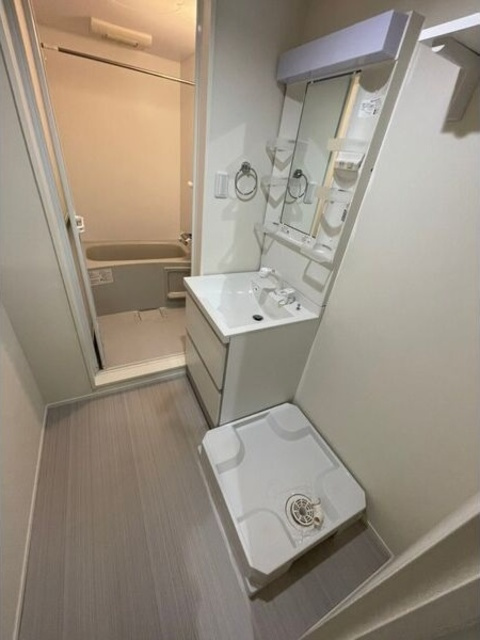 ハーモニーテラス新田Ⅱの洗面所