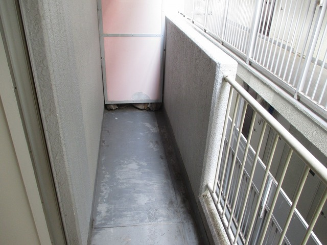 チアリ小松