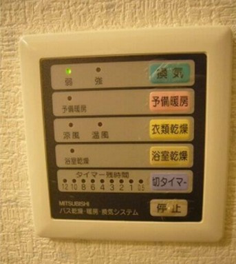 【その他】 | エヴァーグリーン