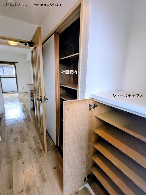 熊本市南区江越１丁目の賃貸マンションの玄関