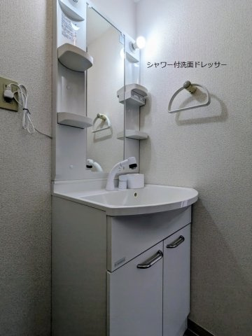 熊本市南区江越１丁目の賃貸マンションの独立洗面台