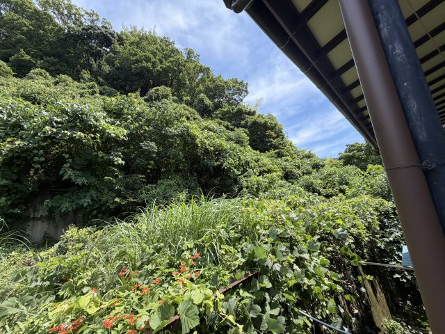 熱海市上多賀　アパート2棟のその他|建物裏の広い土地(元ミカン畑)