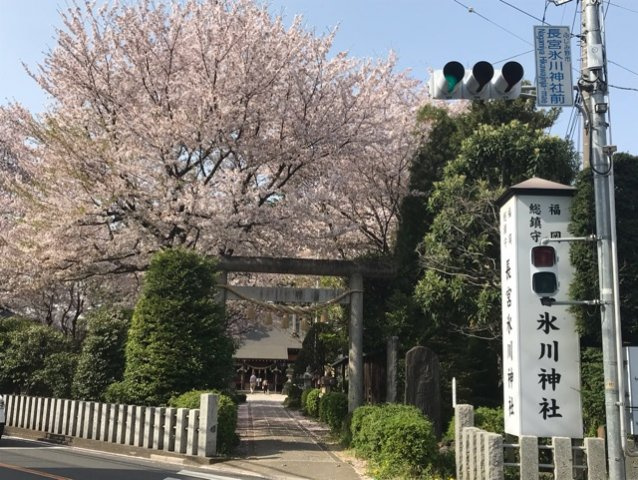 プレ・メゾンの周辺|長宮氷川神社まで100m