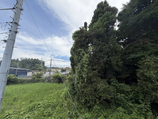 Ｇｒｅｅｎ感じるフルリノベ４ＬＤＫ！！カースペースは２台確保♪新たに生まれ変わった現代仕様な【旭区南本宿町】フルリノベーション中古戸建の展望