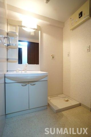 菊池郡大津町美咲野１丁目の賃貸マンションの洗面所