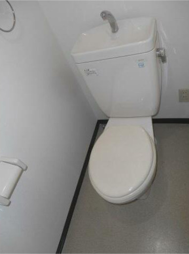 タウンフラッツあいざわのトイレ