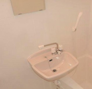 リバーサイド藍蓼（アイタデ）の洗面所