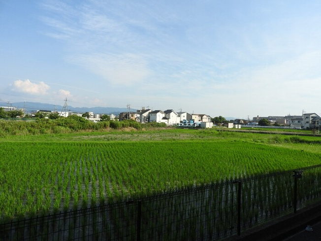 【展望】 | ベルフラワーⅡ