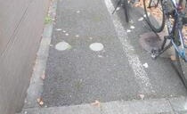 エステージ御殿山のその他共用部分|駐輪場です。