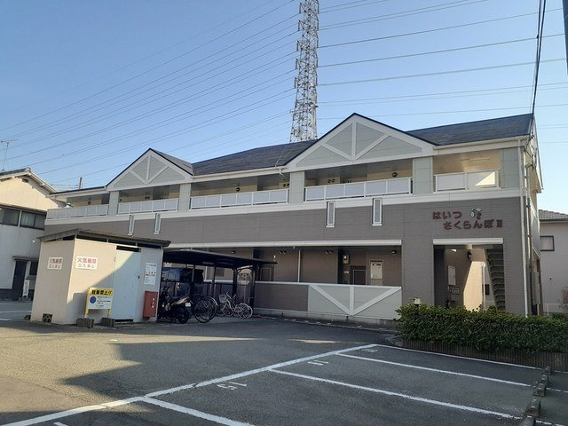 はいつさくらんぼⅢ