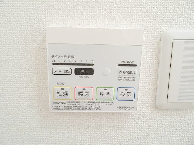 【その他】 | カーサパイン