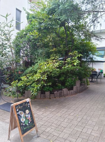 ティアラ岡本の周辺